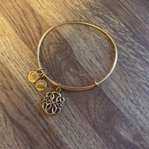 Alex and Ani Path Of Life